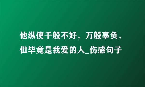 他纵使千般不好，万般辜负，但毕竟是我爱的人_伤感句子