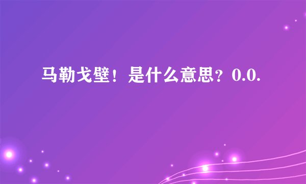马勒戈壁！是什么意思？0.0.