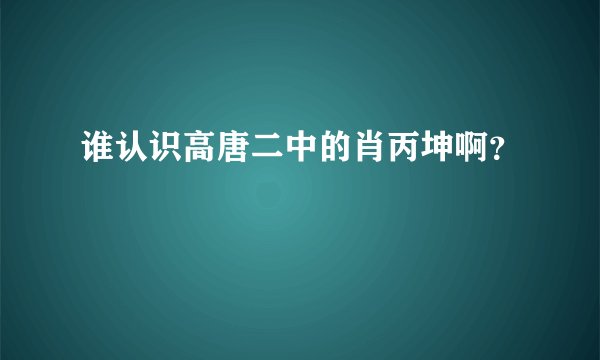 谁认识高唐二中的肖丙坤啊？