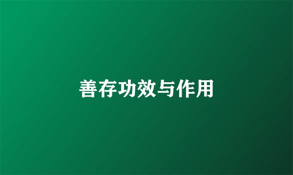 善存功效与作用