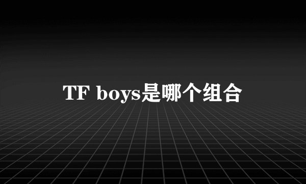 TF boys是哪个组合