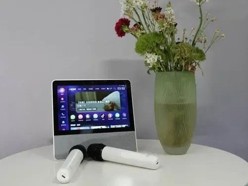 添添T10的语音识别和智能控制表现怎么样?值得入手吗?