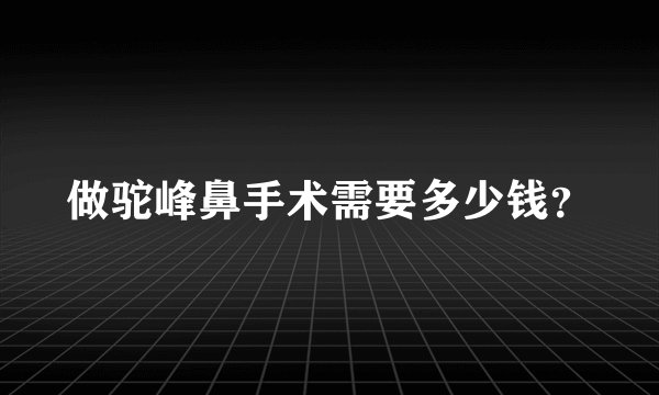 做驼峰鼻手术需要多少钱？