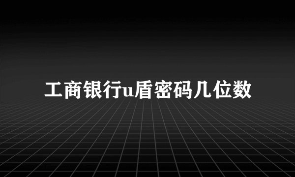 工商银行u盾密码几位数