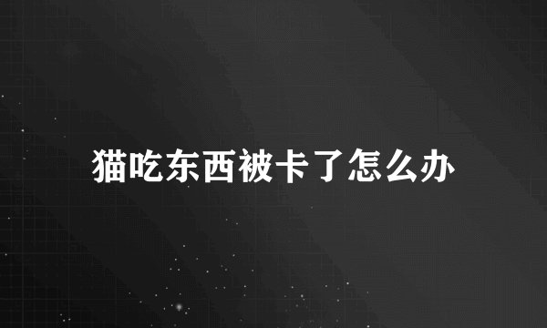 猫吃东西被卡了怎么办