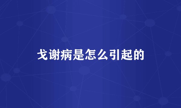戈谢病是怎么引起的