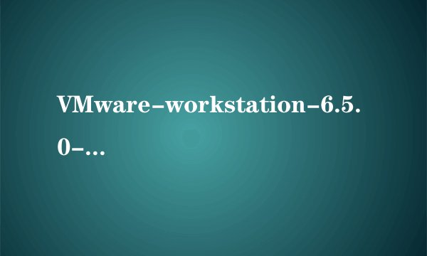 VMware-workstation-6.5.0-110068序列号
