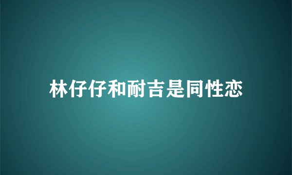 林仔仔和耐吉是同性恋