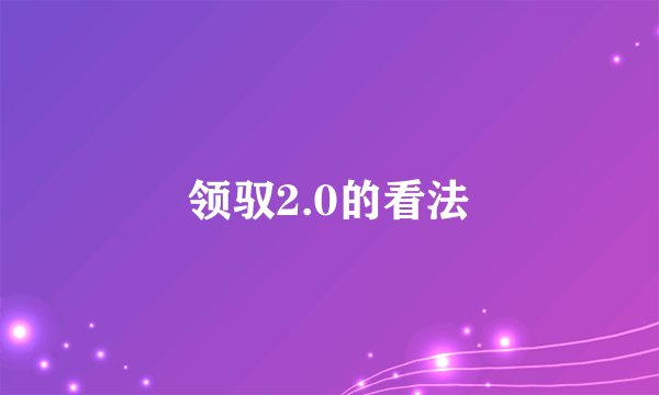 领驭2.0的看法