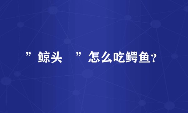 ”鲸头懽”怎么吃鳄鱼？