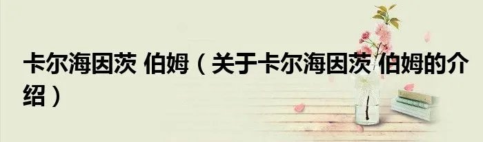 卡尔海因茨 伯姆(关于卡尔海因茨 伯姆的介绍)