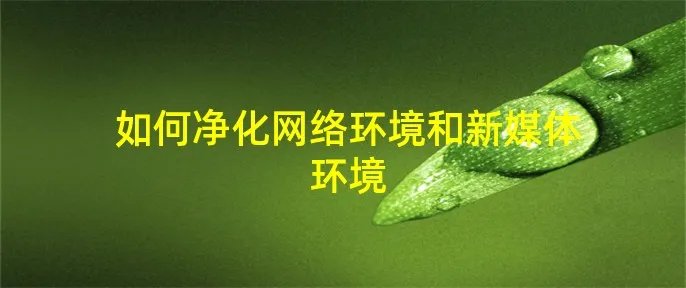 如何净化网络环境和新媒体环境