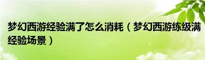 梦幻西游经验满了怎么消耗（梦幻西游练级满经验场景）