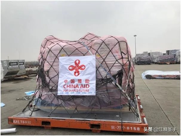 巴基斯坦蝗灾怎么样了?最近怎么感觉没人提及?