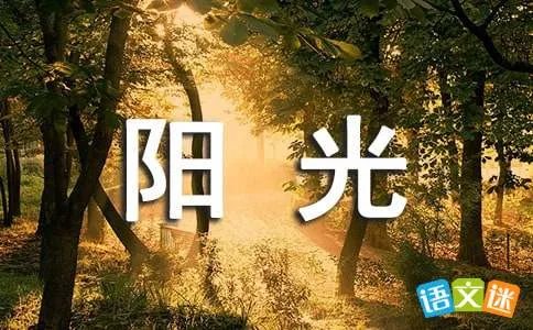 我爱阳光