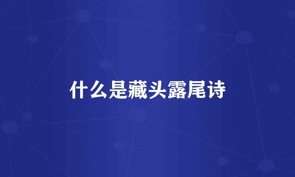 什么是藏头露尾诗