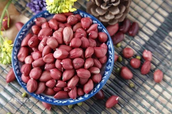 螃蟹不能和哪些食物一起吃