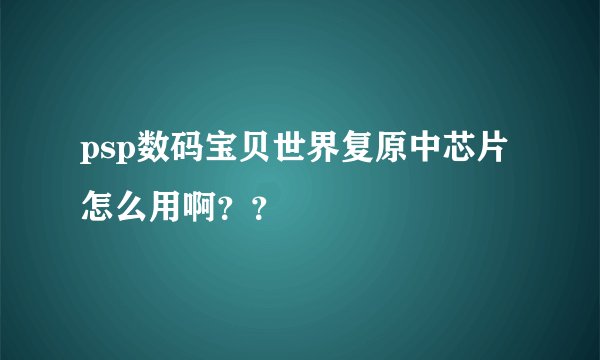 psp数码宝贝世界复原中芯片怎么用啊？？