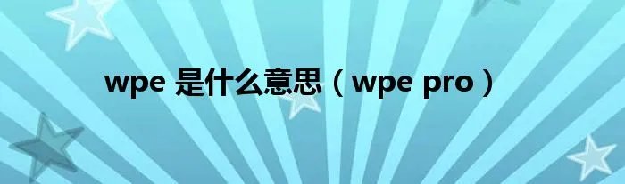 wpe 是什么意思（wpe pro）