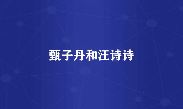 甄子丹和汪诗诗