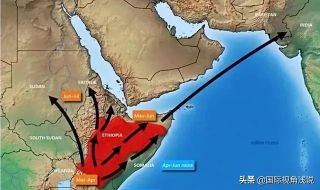 巴基斯坦蝗灾怎么样了?最近怎么感觉没人提及?