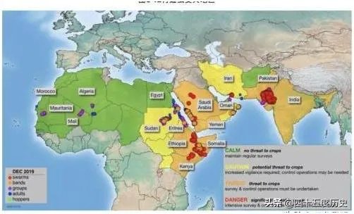 非洲蝗虫成灾,已影响印度和巴基斯坦,会传入中国吗?