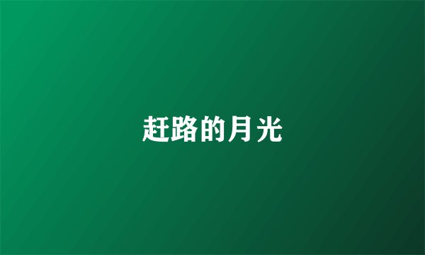 赶路的月光