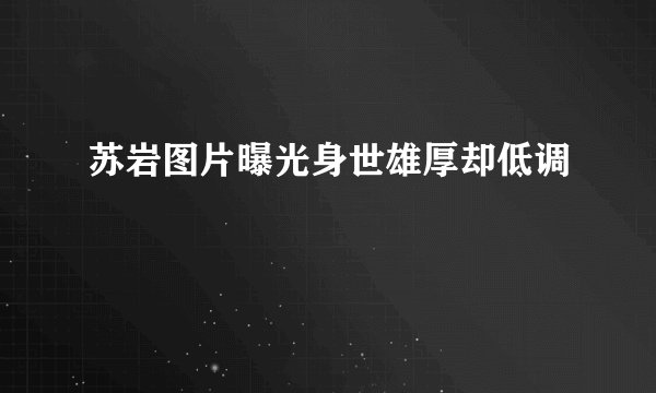 苏岩图片曝光身世雄厚却低调