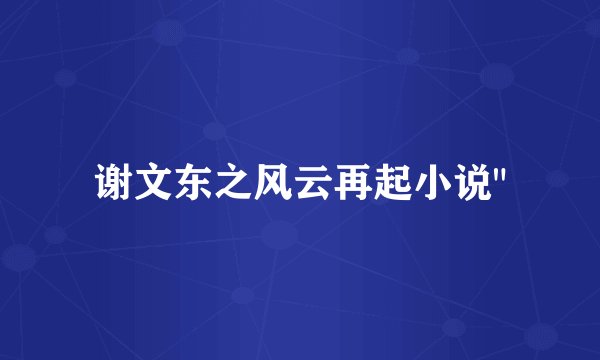 谢文东之风云再起小说