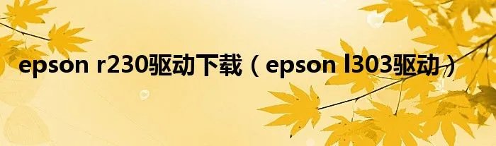 epson r230驱动下载(epson l303驱动)