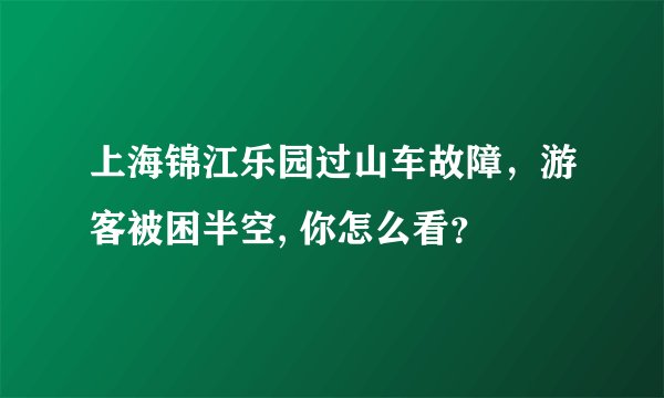 上海锦江乐园过山车故障，游客被困半空, 你怎么看？