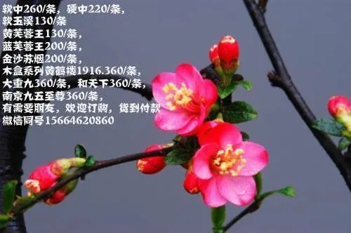 马鞍山有哪些建材市场