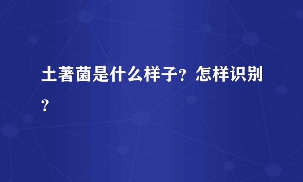 土著菌是什么样子？怎样识别？