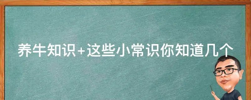 养牛知识 这些小常识你知道几个