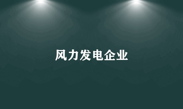 风力发电企业