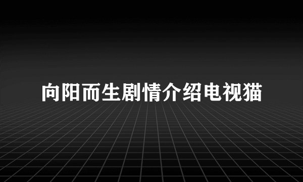 向阳而生剧情介绍电视猫