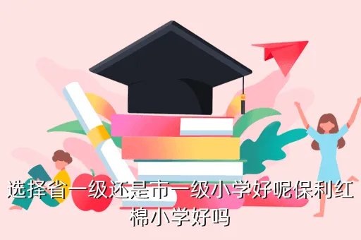 保利红棉小学，选择省一级还是市一级小学好呢保利红棉小学好吗