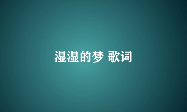 湿湿的梦 歌词