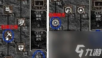 黑破坏神2圣骑士怎么加点 圣骑士加点攻略