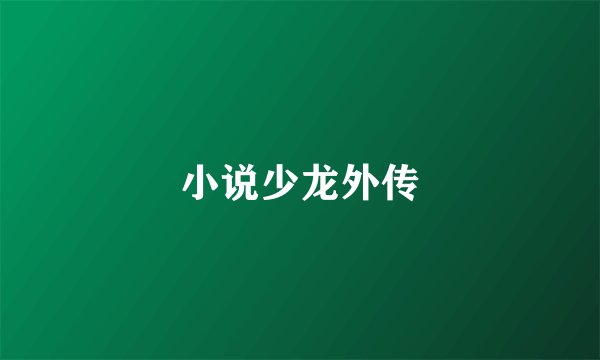 小说少龙外传
