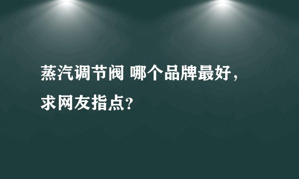 蒸汽调节阀 哪个品牌最好,求网友指点?