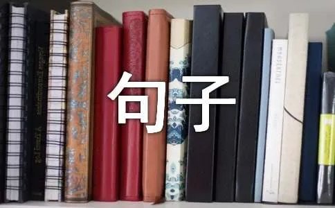 表达好久不见的句子
