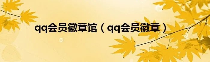 qq会员徽章馆（qq会员徽章）