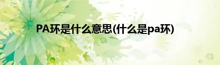 PA环是什么意思(什么是pa环)