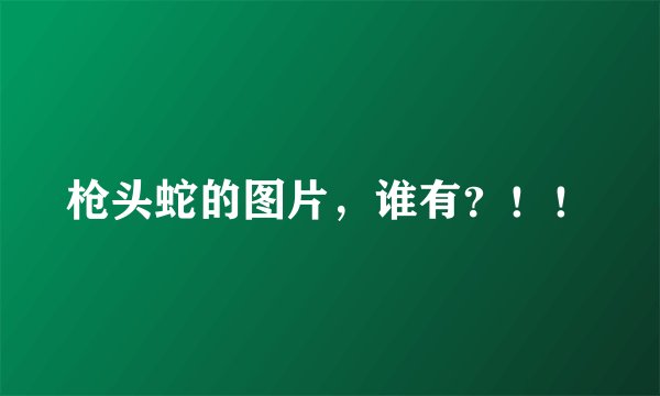 枪头蛇的图片，谁有？！！