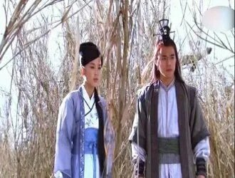 碧血剑2000版电视剧百度百科