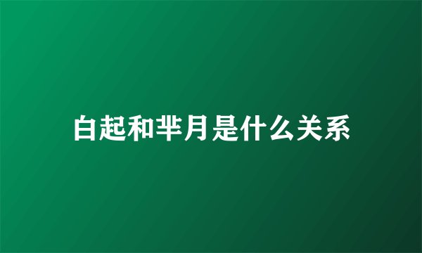 白起和芈月是什么关系