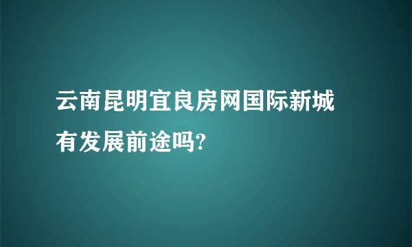 云南昆明宜良房网国际新城 有发展前途吗?