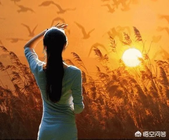 钱负担不起什么意思