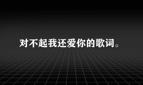 对不起我还爱你的歌词。